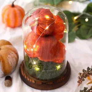 Fall Decor-Light Up Pumpkin in Glass Cloche-Pumpkin Glass Cloche with Light for Autumn Halloween Thanksgiving Home Kitchen Shelf Mantel Table Windowsill Holiday Party Decorations Fall Decor-Light Up Pumpkin in Glass Cloche-Pumpkin Glass Cloche with Light for Autumn Halloween Thanksgiving Home Kitchen Shelf Mantel Table Windowsill Holiday Party Decorations
