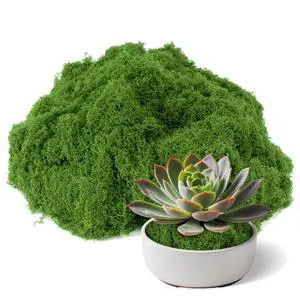 Fake Green Moss for Potted Plants Indoor, 3.5 OZ Artificial Moss for Crafts, Decorative Faux Grass for Fairy Garden, DIY Table Centerpieces, Model Making, Wedding Floral Decor, Terrarium & Home Decor Fake Green Moss for Potted Plants Indoor, 3.5 OZ Artificial Moss for Crafts, Decorative Faux Grass for Fairy Garden, DIY Table Centerpieces, Model Making, Wedding Floral Decor, Terrarium & Home Decor