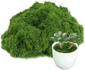 Fake Green Moss for Potted Plants,Artificial Moss for Crafts Indoor,DIY Table Decorating Fairy Garden Accessories Wedding Party Floral Decor Outdoor Fake Green Moss for Potted Plants,Artificial Moss for Crafts Indoor,DIY Table Decorating Fairy Garden Accessories Wedding Party Floral Decor Outdoor