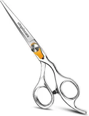 Professional Barber Hair Cutting Scissors (Silver) Professional Barber Hair Cutting Scissors (Silver)
