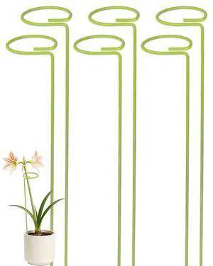 6-Pack Plant Support Stakes for Indoor Plants, Monstera Plant Support & Tall Sticks, Heavy Duty Adjustable 15.8-Inch Garden Stakes for Amaryllis, Snake Plant, Indoor Outdoor Use 6-Pack Plant Support Stakes for Indoor Plants, Monstera Plant Support & Tall Sticks, Heavy Duty Adjustable 15.8-Inch Garden Stakes for Amaryllis, Snake Plant, Indoor Outdoor Use