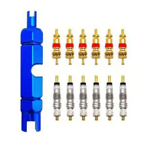 Bicycle Valve Core Remover Tool Kit Universal Bike and Car Valve Core Repair Tightening Tool and 12pcs Valve Cores Replacement Compatible with Presta and Schrader Valve - Blue Bicycle Valve Core Remover Tool Kit Universal Bike and Car Valve Core Repair Tightening Tool and 12pcs Valve Cores Replacement Compatible with Presta and Schrader Valve - Blue