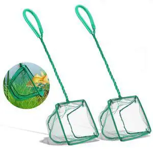 2 Pack Aquarium Fish Nets, DSSPORT 4 Inch Small Mesh Fish Catch Nets with Plastic Handle Green 2 Pack Aquarium Fish Nets, DSSPORT 4 Inch Small Mesh Fish Catch Nets with Plastic Handle Green