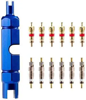 Bicycle Valve Core Remover Tool Kit for Presta and Schrader Valve, Car Bike Valve Core Repair Tightening Tool with 12PCS Valve Cores Brass Replacement Bicycle Valve Core Remover Tool Kit for Presta and Schrader Valve, Car Bike Valve Core Repair Tightening Tool with 12PCS Valve Cores Brass Replacement