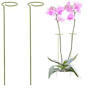 2 Pack Plant Stakes | Plant Supports for Tall Plants and Flowers | Green Garden Stakes | Help Your Flowers Grow | Tomato Cages for Garden | Plant Sticks for Orchid, Amaryllis, Peony, Peppers and More 2 Pack Plant Stakes | Plant Supports for Tall Plants and Flowers | Green Garden Stakes | Help Your Flowers Grow | Tomato Cages for Garden | Plant Sticks for Orchid, Amaryllis, Peony, Peppers and More