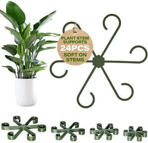 24PCS Forest Green Plant Stem Support, Invisible Stem Supports for Indoor Plants, Monstera Plant Support for Healthy Growth, 4 Sizes Climbing Houseplant Holders, Reusable Plant Accessories 24PCS Forest Green Plant Stem Support, Invisible Stem Supports for Indoor Plants, Monstera Plant Support for Healthy Growth, 4 Sizes Climbing Houseplant Holders, Reusable Plant Accessories