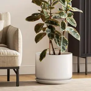 12 Inch Ceramic Plant Pots with Drainage Holes and Saucers Elegant Durable Large Plant Pot for Home Office Decor White 12 Inch Ceramic Plant Pots with Drainage Holes and Saucers Elegant Durable Large Plant Pot for Home Office Decor White
