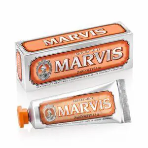 Ginger Mint Toothpaste, 1.3 oz Ginger Mint Toothpaste, 1.3 oz