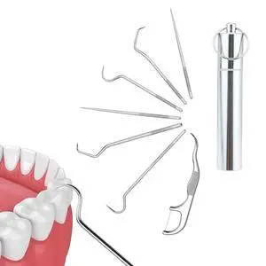 7pcs Portable Stainless Steel Toothpick Reusable Dental Picks with Storage Tube Keyring,Teeth Cleaning Tools for Outdoor Picnic, Camping, Travel 7pcs Portable Stainless Steel Toothpick Reusable Dental Picks with Storage Tube Keyring,Teeth Cleaning Tools for Outdoor Picnic, Camping, Travel