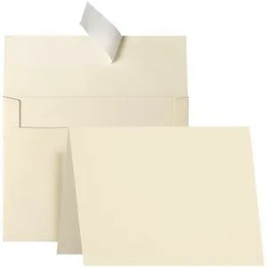 A2 Cream Folded Blank Cards and Envelopes 100 Pack 4.25 x 5.5 Ivory Cardstock and A2 Envelopes Self Seal 100 for Wedding, Invitations, Thank You Cards & All Occasion A2 Cream Folded Blank Cards and Envelopes 100 Pack 4.25 x 5.5 Ivory Cardstock and A2 Envelopes Self Seal 100 for Wedding, Invitations, Thank You Cards & All Occasion