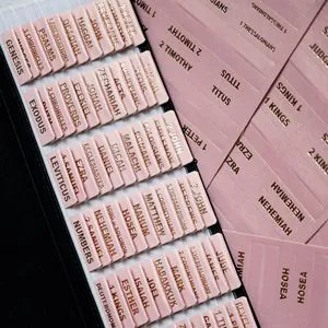 Leather Bible Tabs for Women and Men, Gold Foil Lettering Large Print Stickers, Easy to Read and Apply, 80 Chapters Labels for Easy Navigation(Rose Pink) Leather Bible Tabs for Women and Men, Gold Foil Lettering Large Print Stickers, Easy to Read and Apply, 80 Chapters Labels for Easy Navigation(Rose Pink)