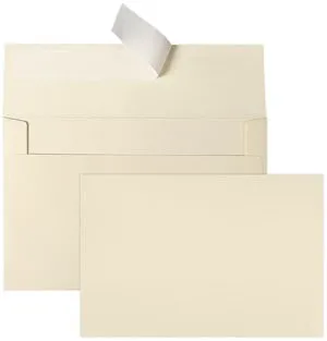 Ivory Blank Cards and Envelopes 4x6 (Not-Folded) 100 Pack Cream Flat Note Cards 4x6 and A6 Envelopes Self Seal for Wedding, Invitations, DIY Notecards, Birthday & All Occasion Ivory Blank Cards and Envelopes 4x6 (Not-Folded) 100 Pack Cream Flat Note Cards 4x6 and A6 Envelopes Self Seal for Wedding, Invitations, DIY Notecards, Birthday & All Occasion
