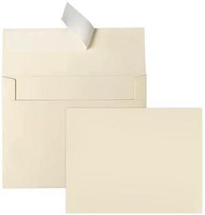 100 Pack A2 Ivory Blank Cards and Envelopes (Not-Folded) Cream Flat Note Cards 4.25 x 5.5 and A2 Envelopes Self Seal for Wedding, Invitations, Birthday & All Occasion 100 Pack A2 Ivory Blank Cards and Envelopes (Not-Folded) Cream Flat Note Cards 4.25 x 5.5 and A2 Envelopes Self Seal for Wedding, Invitations, Birthday & All Occasion