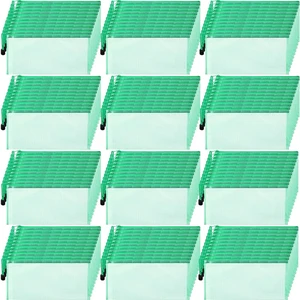 100Pcs Mesh Pencil Pouch,Green,A6 Small Zipper Pencil Pouches Bulk, Waterproof Clear Storage Bag, Multipurpose for Cash Board Game Passport Office 100Pcs Mesh Pencil Pouch,Green,A6 Small Zipper Pencil Pouches Bulk, Waterproof Clear Storage Bag, Multipurpose for Cash Board Game Passport Office