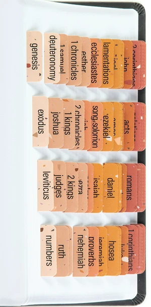 Laminated Bible Tabs for Women and Men (Terrazzo Theme) Large Print Bible Book Tabs, Bible Study Journaling Supplies, 84 Catholic Scripture Tabs, Includes 7 Blank Labels Laminated Bible Tabs for Women and Men (Terrazzo Theme) Large Print Bible Book Tabs, Bible Study Journaling Supplies, 84 Catholic Scripture Tabs, Includes 7 Blank Labels