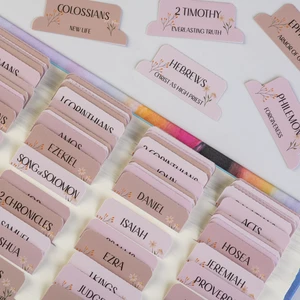Laminated Bible Tabs with Book Summaries (Canon Theme) Large Print Bible Book Tabs, Bible Study Journaling Supplies, 66 Personalized Scripture Tabs and 6 Blank Labels Laminated Bible Tabs with Book Summaries (Canon Theme) Large Print Bible Book Tabs, Bible Study Journaling Supplies, 66 Personalized Scripture Tabs and 6 Blank Labels