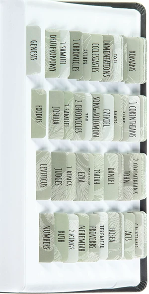Laminated Bible Tabs for Women and Men (Sage Theme) Large Print Bible Book Tabs, Bible Study Journaling Supplies, 66 Personalized Scripture Tabs and 6 Blank Labels Laminated Bible Tabs for Women and Men (Sage Theme) Large Print Bible Book Tabs, Bible Study Journaling Supplies, 66 Personalized Scripture Tabs and 6 Blank Labels