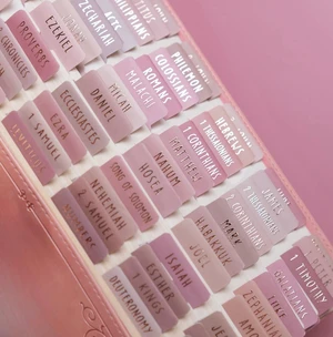 Laminated Bible Tabs, Rose Gold Foil Embossed Lettering(Pink) Bible Tabs for Women and Men,Reposition Large Print Stickers, Easy to Read, Easy Navigation,Bible Study Supplies Laminated Bible Tabs, Rose Gold Foil Embossed Lettering(Pink) Bible Tabs for Women and Men,Reposition Large Print Stickers, Easy to Read, Easy Navigation,Bible Study Supplies
