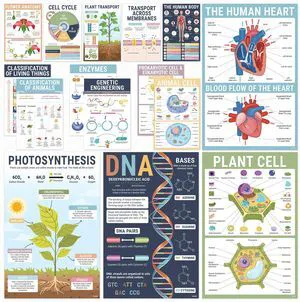 Biology Posters for Classroom, 15 Pack 11x17 Science Charts Laminated Educational Biology Charts for Middle & High School - Decor for Hallways, Bulletin Boards, Home Study Room Biology Posters for Classroom, 15 Pack 11x17 Science Charts Laminated Educational Biology Charts for Middle & High School - Decor for Hallways, Bulletin Boards, Home Study Room