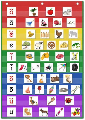Standard Size Pocket Charts, Classroom Clear Pocket Chart Hanging Scheduling 10 Pockets for Home School Class, Ideal for Sight Words, Sentence Strips, Reading (43" x 28") (Colorful) Standard Size Pocket Charts, Classroom Clear Pocket Chart Hanging Scheduling 10 Pockets for Home School Class, Ideal for Sight Words, Sentence Strips, Reading (43" x 28") (Colorful)