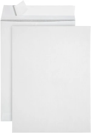 250 6" x 9" Catalog Envelopes, Self Seal, White Security Tint, Peel and Seal, Holds Small Booklets, Catalogs, Cards, Brochures, Documents 250 6" x 9" Catalog Envelopes, Self Seal, White Security Tint, Peel and Seal, Holds Small Booklets, Catalogs, Cards, Brochures, Documents