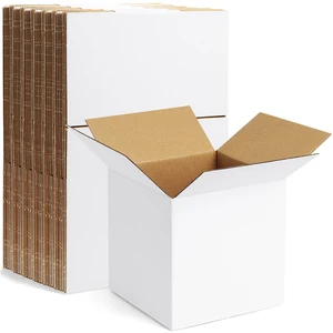 10 Pack 6x6x6 Inch Small Shipping Boxes White Corrugated Cardboard Boxes Mailer for Small Business, Mailing Boxes for Packaging Bulk 10 Pack 6x6x6 Inch Small Shipping Boxes White Corrugated Cardboard Boxes Mailer for Small Business, Mailing Boxes for Packaging Bulk