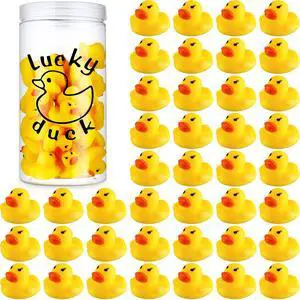 36 Pcs Lucky Ducks Mini Classroom Jar Set,Style 2,Yellow Classroom Management Reward Tool for Teachers, Rubber Duck Bulk Set with Storage Jar, Mini Party Favors Game Prizes 36 Pcs Lucky Ducks Mini Classroom Jar Set,Style 2,Yellow Classroom Management Reward Tool for Teachers, Rubber Duck Bulk Set with Storage Jar, Mini Party Favors Game Prizes