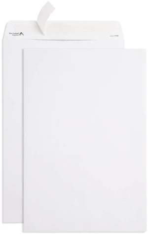 50 10" x 15" Catalog Envelopes, Self Seal, White 28lb, Security Tint, Peel and Seal, for Legal-Size Mailing of Documents, Folders, Catalogs 50 10" x 15" Catalog Envelopes, Self Seal, White 28lb, Security Tint, Peel and Seal, for Legal-Size Mailing of Documents, Folders, Catalogs