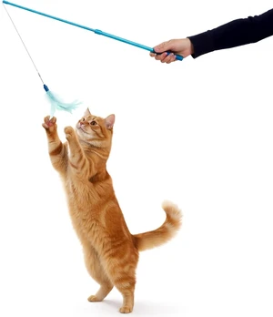 SmartyKat Frisky Flyer, Interactive Cat Toy, Extendable and Retractable Wand with Feathers SmartyKat Frisky Flyer, Interactive Cat Toy, Extendable and Retractable Wand with Feathers