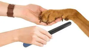 Pets First Professional Grooming Tough Metal Nail File Grinder for Cats and Dogs Pets First Professional Grooming Tough Metal Nail File Grinder for Cats and Dogs