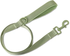 Vibrant Life Neoprene Cushioned Dog Leash, Sage Green, 6ft, M/L Vibrant Life Neoprene Cushioned Dog Leash, Sage Green, 6ft, M/L