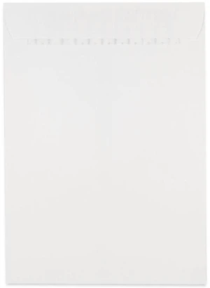 JAM Paper Peel & Seal Commercial Envelopes, 7.5x10.5 Inches, White, 25-Count JAM Paper Peel & Seal Commercial Envelopes, 7.5x10.5 Inches, White, 25-Count