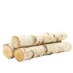 ProFlora Decorative Birch Logs 16" Pack of 3 ProFlora Decorative Birch Logs 16" Pack of 3