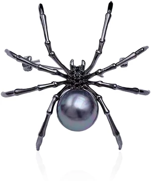 Spider Brooch Pins for Women and Men Witch Jewelry Halloween Pin Accessories (Black) Spider Brooch Pins for Women and Men Witch Jewelry Halloween Pin Accessories (Black)