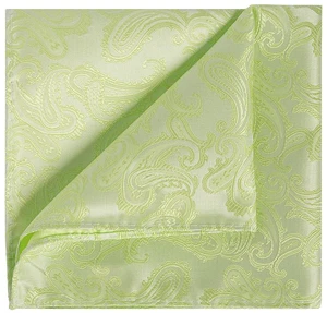 Mens Light Green Paisley Pocket Square Hanky Handkerchief Mens Light Green Paisley Pocket Square Hanky Handkerchief