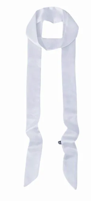 Bwerfuet Stylish Ribbon Scarf Soft Long Skinny Satin Belt Neck Scarf for Women (White) Bwerfuet Stylish Ribbon Scarf Soft Long Skinny Satin Belt Neck Scarf for Women (White)