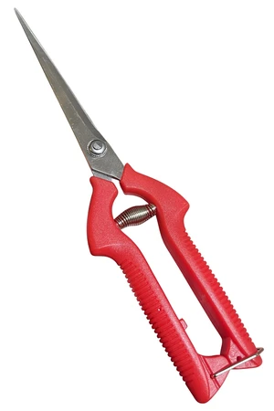 Long Stainless Steel Pruner Pruning Shears Clippers Snips Sharp Bonsai Cutter Plant Trimming Scissors Straight Blade Garden Scissors Tool Great for Roses Flowers Herbs Fruits Long Stainless Steel Pruner Pruning Shears Clippers Snips Sharp Bonsai Cutter Plant Trimming Scissors Straight Blade Garden Scissors Tool Great for Roses Flowers Herbs Fruits