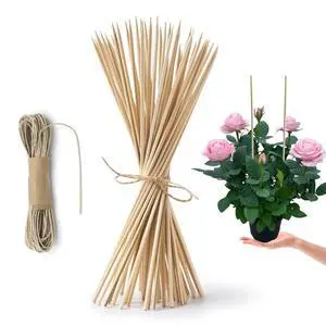 50 Pack 8" Bamboo Plant Stakes for Wood Garden SticksWooden Indoor Gardening Floral Plant Support Potted PlantsCrafts, More Size Choices 8"/12"/16" 50 Pack 8" Bamboo Plant Stakes for Wood Garden SticksWooden Indoor Gardening Floral Plant Support Potted PlantsCrafts, More Size Choices 8"/12"/16"