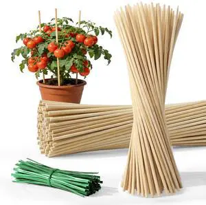 Plant Stakes for Indoor Plants - 40PCS Plant Support Sticks, 9.8" | Stakes for Potted Plants, Orchids & Seedlings, Garden Stake with 30pcs Green Ties Plant Stakes for Indoor Plants - 40PCS Plant Support Sticks, 9.8" | Stakes for Potted Plants, Orchids & Seedlings, Garden Stake with 30pcs Green Ties