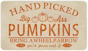 Fall Door Mat Outside,Hand Picked Pumpkin Welcome Mat for Front Door,Thanksgiving Autumn Indoor Outdoor Non-Slip Rugs,Fall Doormat for Farmhouse Home Porch Decorations 30" x 17" Fall Door Mat Outside,Hand Picked Pumpkin Welcome Mat for Front Door,Thanksgiving Autumn Indoor Outdoor Non-Slip Rugs,Fall Doormat for Farmhouse Home Porch Decorations 30" x 17"
