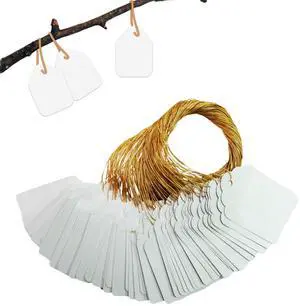BEADNOVA Plant Hanging Tags 100pcs Tags with String Reusable Plant Labels Markers Plastic Garden Signs Garden Markers for Outdoor (2 Inch, White) BEADNOVA Plant Hanging Tags 100pcs Tags with String Reusable Plant Labels Markers Plastic Garden Signs Garden Markers for Outdoor (2 Inch, White)