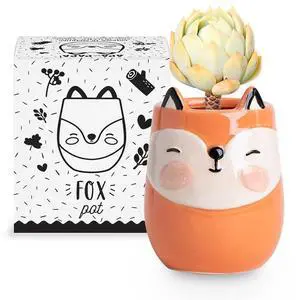 Apa la Papa, Fox Animal Ceramic Planter for Indoor and Outdoors, 3 x 3 x 4 in., Cute Hand Painted Designed in Argentina, Convenient Drain Hole Apa la Papa, Fox Animal Ceramic Planter for Indoor and Outdoors, 3 x 3 x 4 in., Cute Hand Painted Designed in Argentina, Convenient Drain Hole