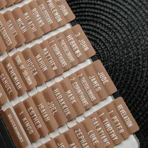 UPAFEXXI-Laminated Bible Tabs, Bible Tabs for Women and Men | Reposition Large Print Stickers, Easy to Read and Apply, 80Chapters Labels for Easy Navigation(Mocha Mousse) UPAFEXXI-Laminated Bible Tabs, Bible Tabs for Women and Men | Reposition Large Print Stickers, Easy to Read and Apply, 80Chapters Labels for Easy Navigation(Mocha Mousse)