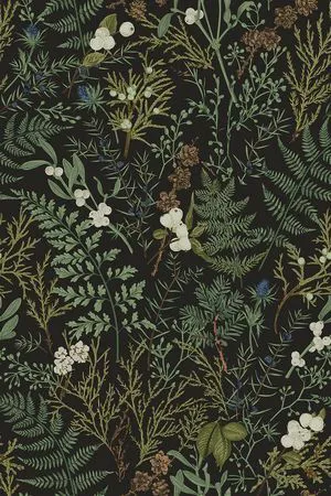 Dark Green Fern Botanical Shelf Liner Contact Paper Self Adhesive Vinyl Botanical Drawer Liner Wall Paper for Kitchen Cabinets Dresser Dollhouse Walls Arts Crafts Decal 17.5X117 Inches Dark Green Fern Botanical Shelf Liner Contact Paper Self Adhesive Vinyl Botanical Drawer Liner Wall Paper for Kitchen Cabinets Dresser Dollhouse Walls Arts Crafts Decal 17.5X117 Inches