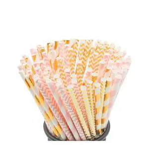 Biodegradable Paper Straws, 100 Pack Pink for Party Supplies, Birthday, Wedding, Bridal/Baby Shower Decorations and Holiday Celebrations Biodegradable Paper Straws, 100 Pack Pink for Party Supplies, Birthday, Wedding, Bridal/Baby Shower Decorations and Holiday Celebrations