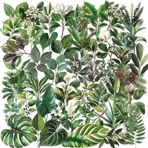 Green Leaf Plants Aesthetic Scrapbook Waterproof Transparent Stickers 50PCS | Nature Leaves Flowers Stickers Pack for Water Bottle, Laptop, Journal, Vases Decorative, Floral Decals for Kids Teens Adul Green Leaf Plants Aesthetic Scrapbook Waterproof Transparent Stickers 50PCS | Nature Leaves Flowers Stickers Pack for Water Bottle, Laptop, Journal, Vases Decorative, Floral Decals for Kids Teens Adul