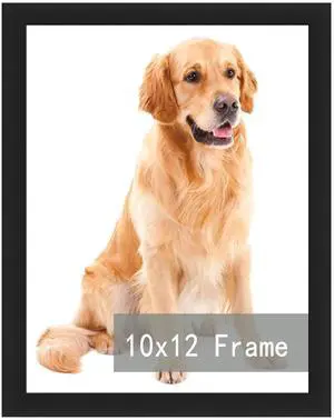 RUN HELIX 10x12 Picture Frames, Photos Frame with Plexiglass, Wall Gallery Photo Frames, Horizontal and Vertical for Wall Mounting, Home Office Decoration,Black RUN HELIX 10x12 Picture Frames, Photos Frame with Plexiglass, Wall Gallery Photo Frames, Horizontal and Vertical for Wall Mounting, Home Office Decoration,Black