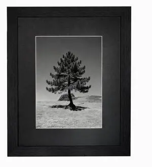 8x10 Picture Frame, Solid Wood Picture Frames With Plexiglass, Display 5x7 with Mat or 8x10 Without Mat, Tabletop and Wall Display Photo Frame, 1 Pack, Black 8x10 Picture Frame, Solid Wood Picture Frames With Plexiglass, Display 5x7 with Mat or 8x10 Without Mat, Tabletop and Wall Display Photo Frame, 1 Pack, Black