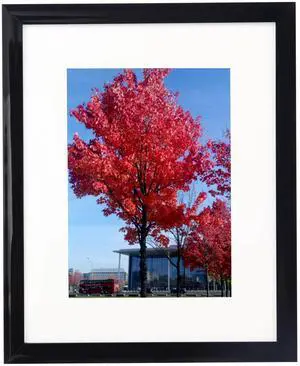 8x12 Picture Frame, Easy Hand Certificate Poster Photo Frame, Black 8x12 Picture Frame, Easy Hand Certificate Poster Photo Frame, Black