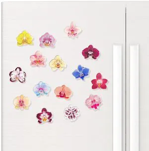 Acrylic Orchid Refrigerator Magnets, 15 PCS Colorful Flower Fridge Magnets, Cute Funny Aesthetic Kitchen Decor for Whiteboard, Locker, Home and Office Decorative Magnets Gifts for Women, Plant Lovers Acrylic Orchid Refrigerator Magnets, 15 PCS Colorful Flower Fridge Magnets, Cute Funny Aesthetic Kitchen Decor for Whiteboard, Locker, Home and Office Decorative Magnets Gifts for Women, Plant Lovers
